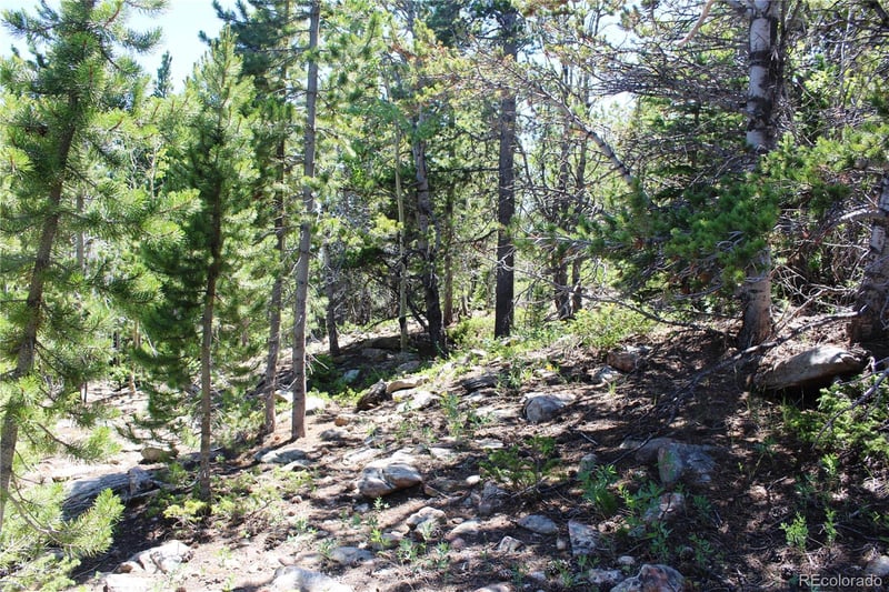 1595 Missouri Gulch Rd Lot 5082, 4708, 959, Black Hawk, CO 80422