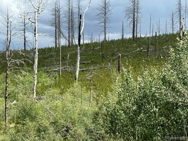 Block One Lot Sixteen Paradise Acres Su #16, La Veta, CO 81055
