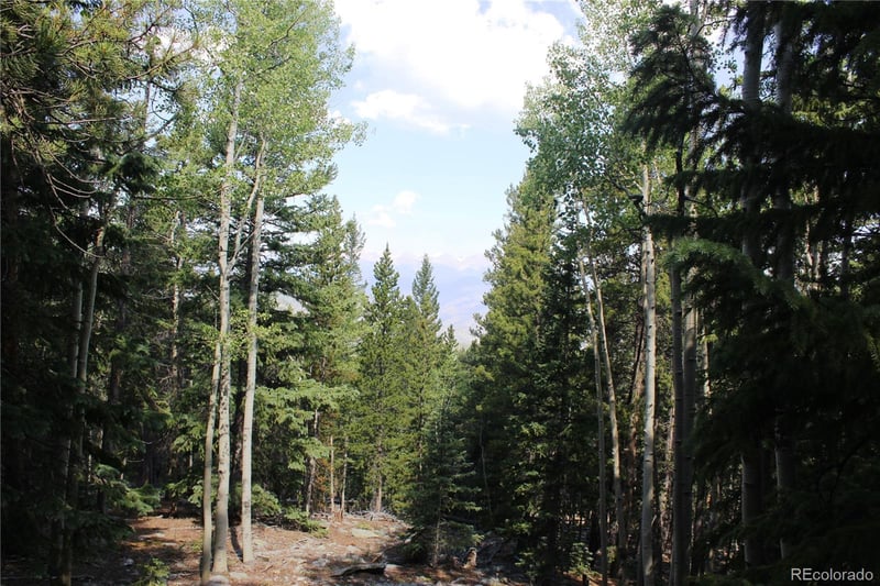 Lot 18 Hidden Wildernes Rd Lot 18, Idaho Springs, CO 80461