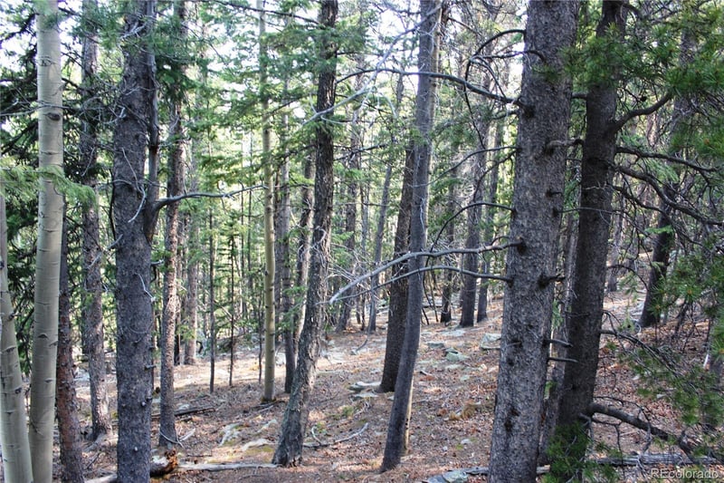 Lot 18 Hidden Wildernes Rd Lot 18, Idaho Springs, CO 80461