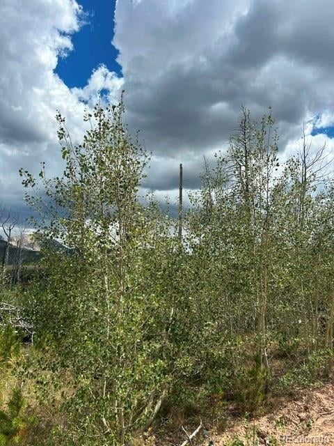Block One Lot Eighteen Paradise Acres S #18, La Veta, CO 81055