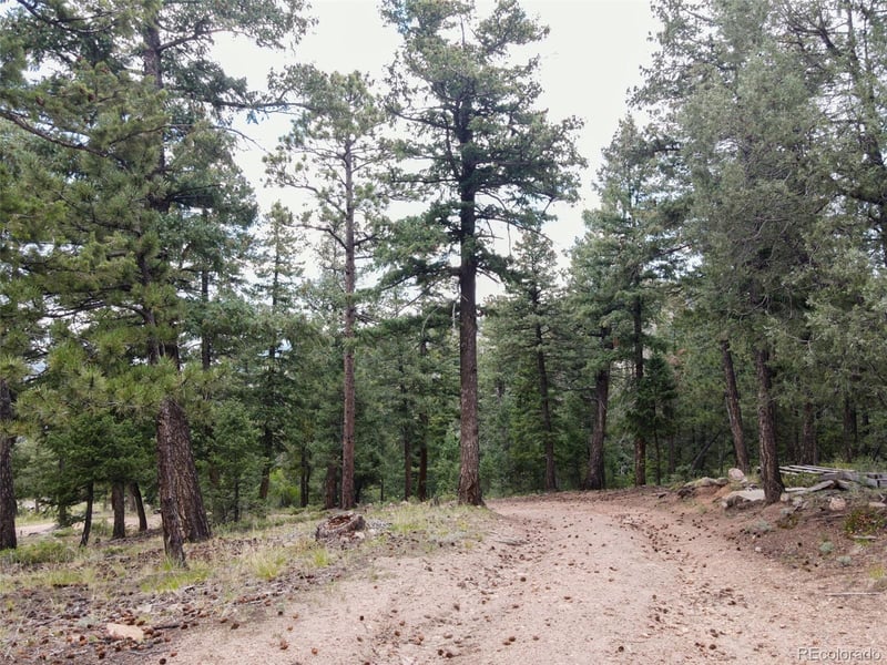 0, Evergreen, CO 80439