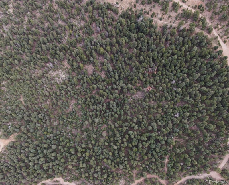 Fern Gulch Lot 14 Rd Lot 14, Evergreen, CO 80439