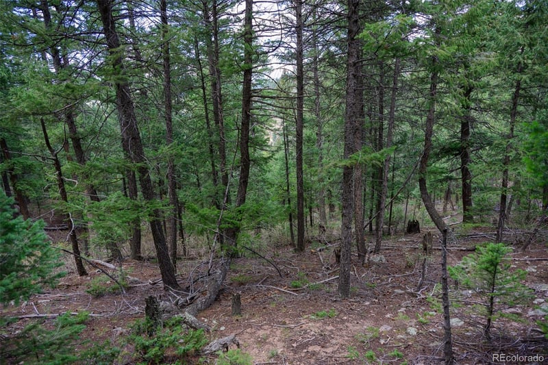 Fern Gulch Lot 14 Rd Lot 14, Evergreen, CO 80439