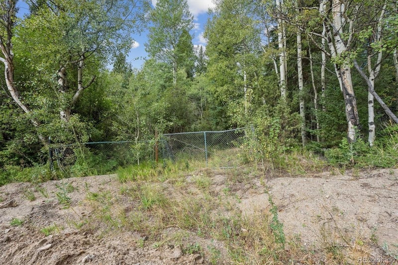 002 Fall River Rd, Idaho Springs, CO 80452
