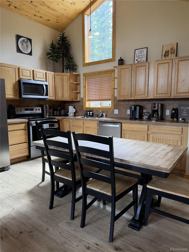 272 Porcupine Rd, Fairplay, CO 80440
