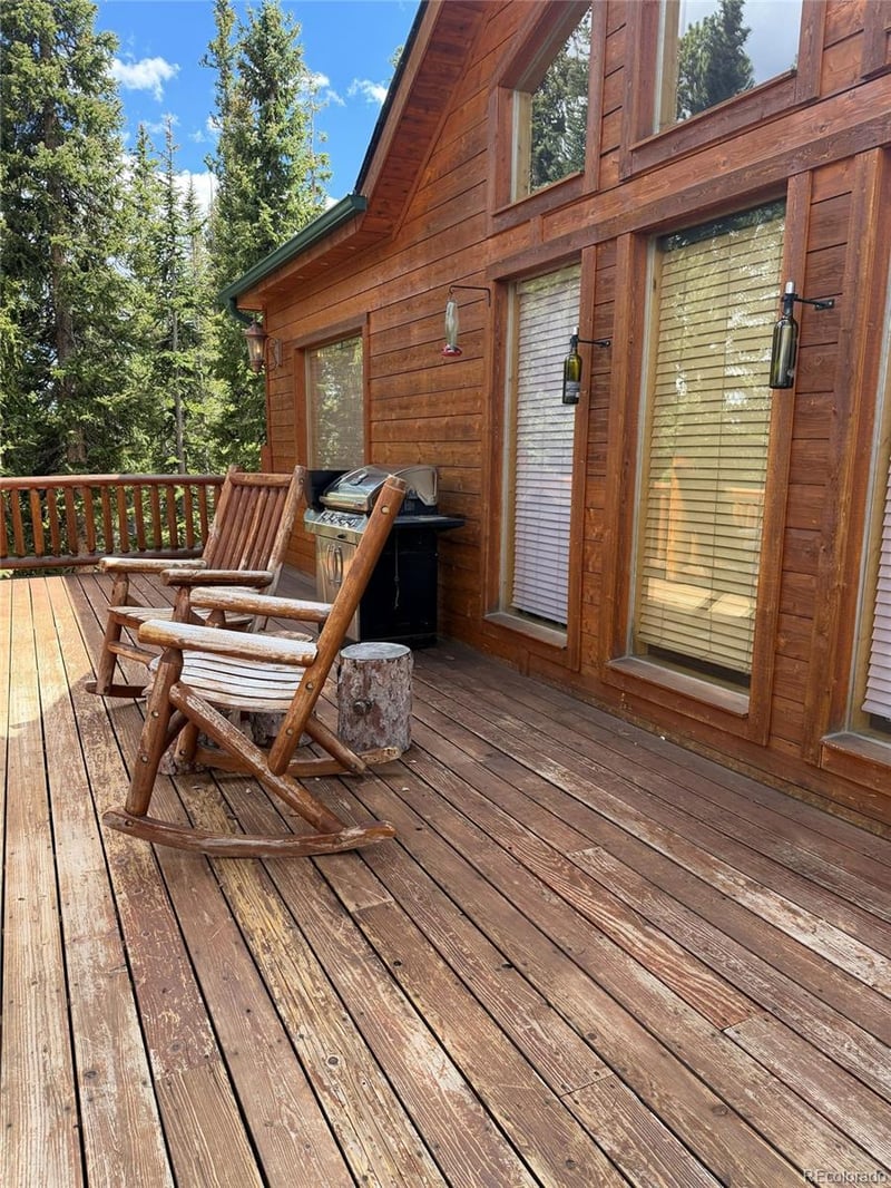 272 Porcupine Rd, Fairplay, CO 80440