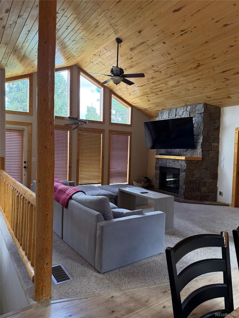 272 Porcupine Rd, Fairplay, CO 80440