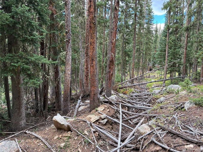LOT 6621` Clinton Rd, San Luis, CO 81152