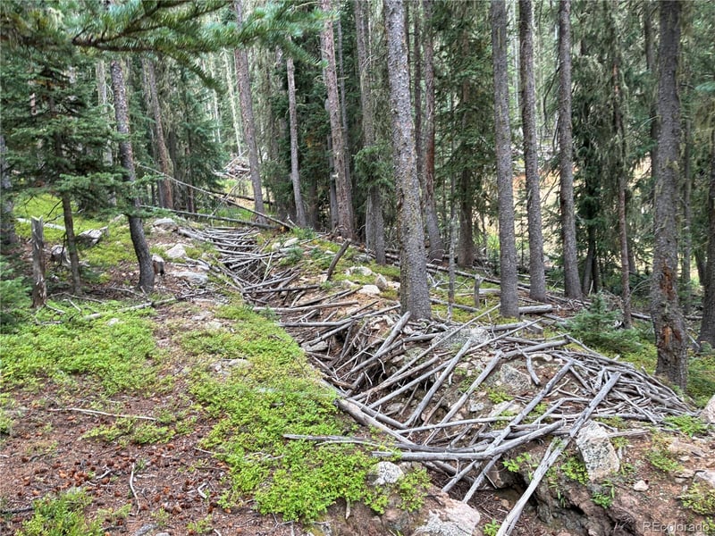 LOT 6621` Clinton Rd, San Luis, CO 81152