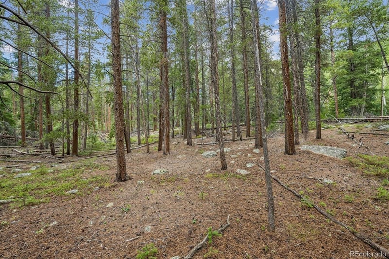 001 Fall River Rd, Idaho Springs, CO 80452
