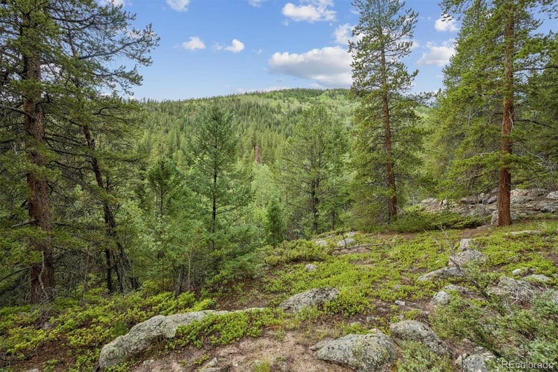 001 Fall River Rd, Idaho Springs, CO 80452
