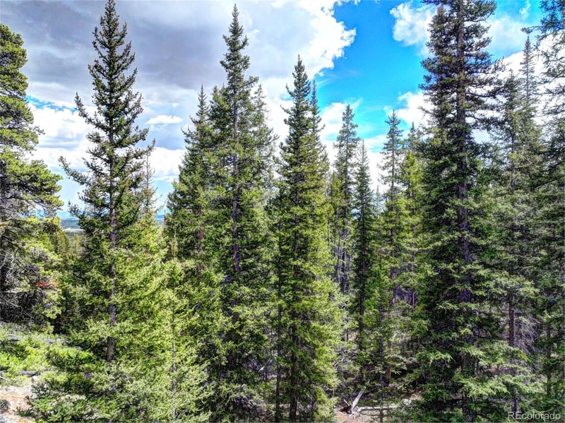 0 Dry Gulch Rd, Fairplay, CO 80440
