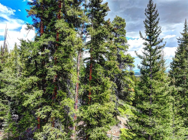 0 Dry Gulch Rd, Fairplay, CO 80440