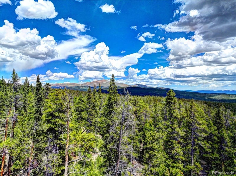 0 Dry Gulch Rd, Fairplay, CO 80440