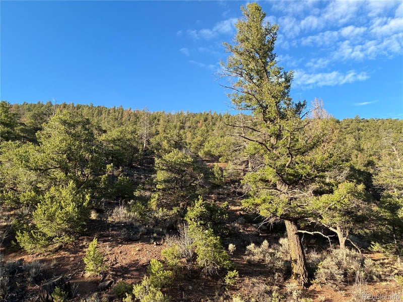 8.5 AC Adelaide Rd Lot 5101, San Luis, CO 81152