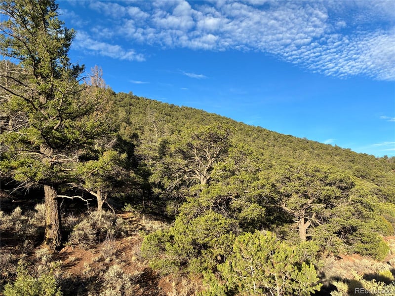 8.5 AC Adelaide Rd Lot 5101, San Luis, CO 81152