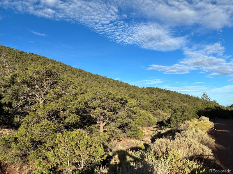 8.5 AC Adelaide Rd Lot 5101, San Luis, CO 81152