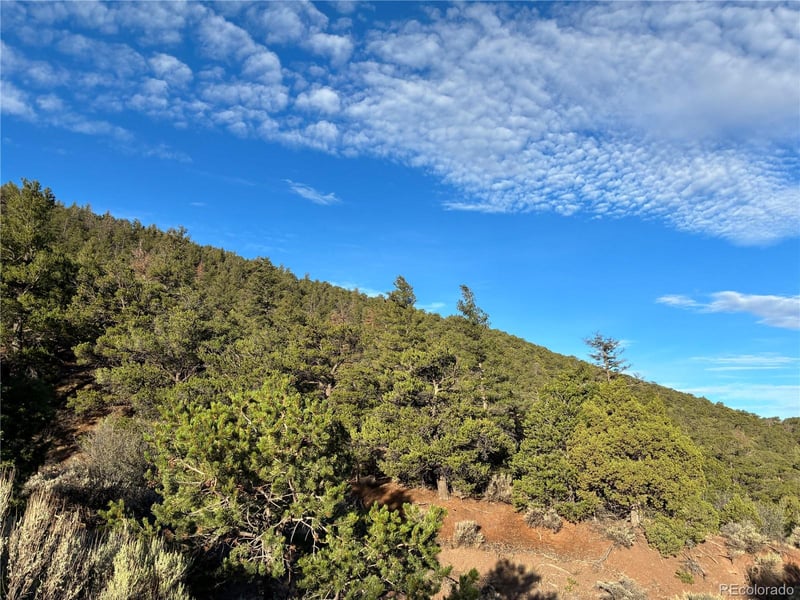 8.5 AC Adelaide Rd Lot 5101, San Luis, CO 81152