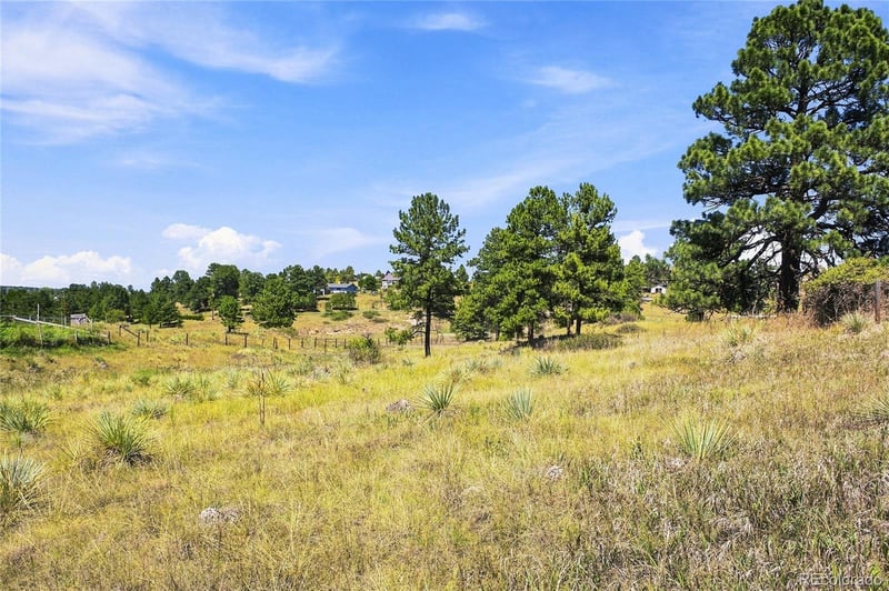 10461 Black Forest Dr, Parker, CO 80138