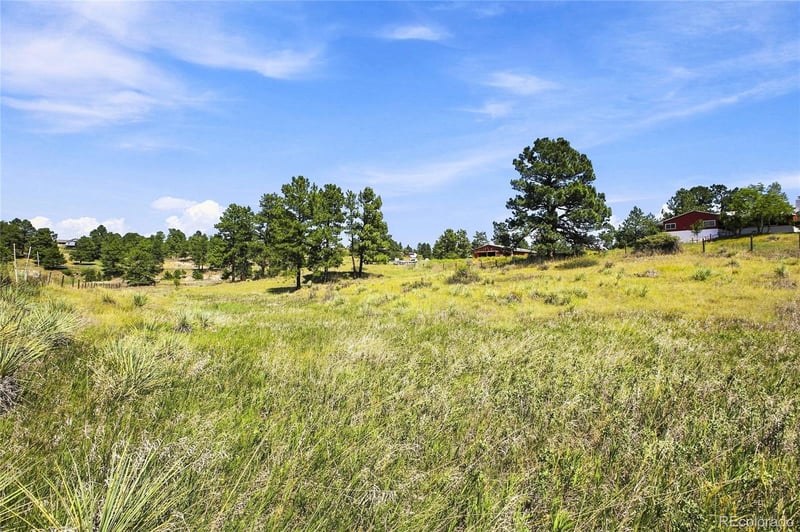 10461 Black Forest Dr, Parker, CO 80138