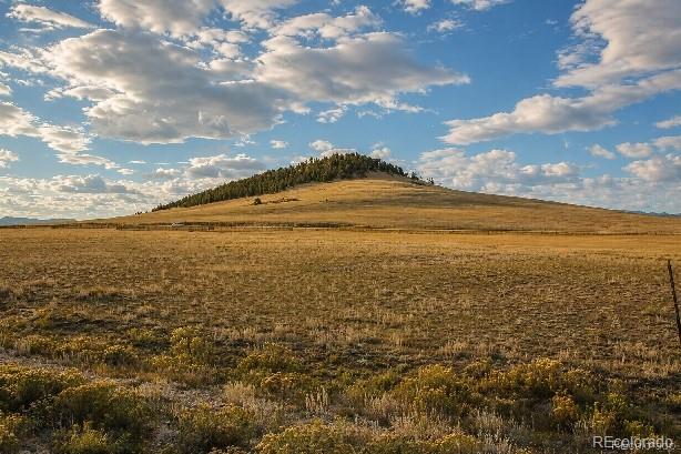 6065 Moffat Rd, Hartsel, CO 80449