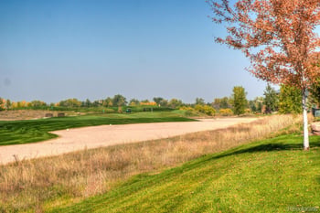 149 Beacon Way, Windsor, CO 80550