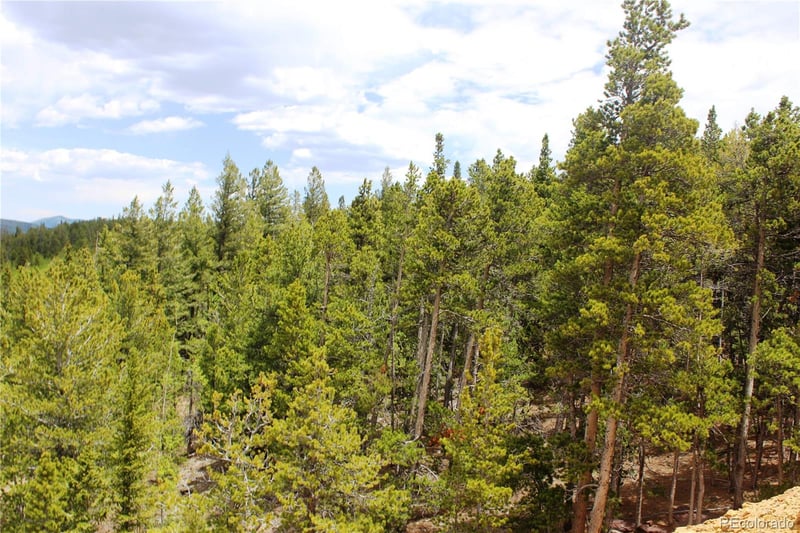 19129 Eliza, Idaho Springs, CO 80461
