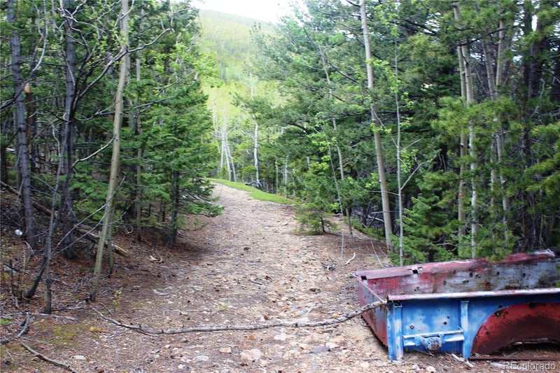 19129 Eliza, Idaho Springs, CO 80461