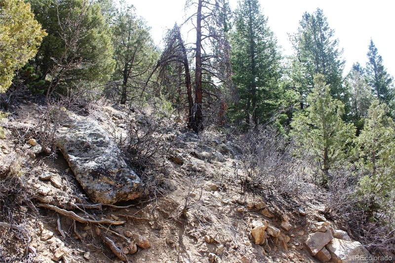 00 County Rd 308 Lot 1381, Idaho Springs, CO 80436