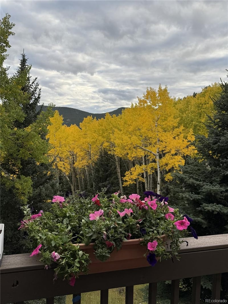 160 Meadowlark Dr, Evergreen, CO 80439