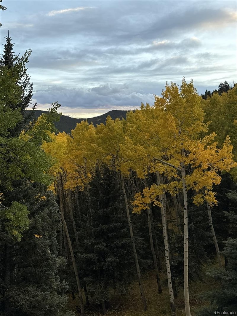 160 Meadowlark Dr, Evergreen, CO 80439