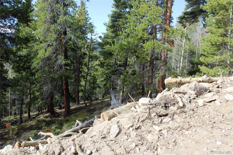 4-1 Lamertine Rd Lot 13785, Idaho Springs, CO 80452