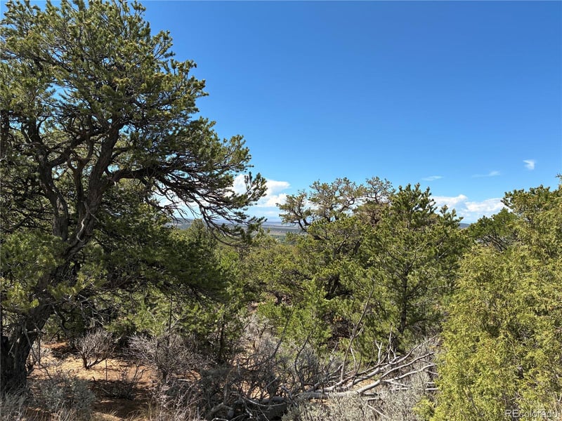 LOT 7180 Freylinghuysen, Fort Garland, CO 81133