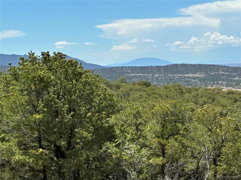 LOT 7180 Freylinghuysen, Fort Garland, CO 81133