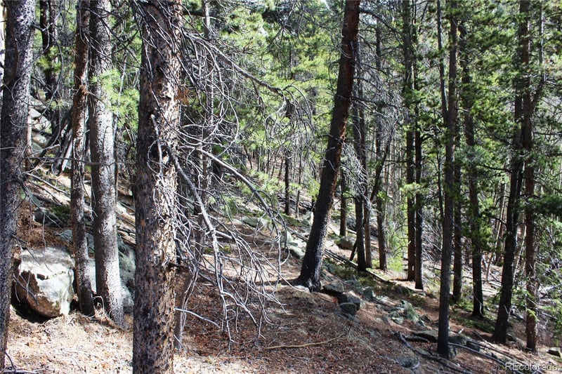 4-2 Lamertine Rd Lot 9802, Idaho Springs, CO 80452