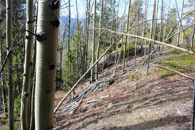 4-2 Lamertine Rd Lot 9802, Idaho Springs, CO 80452