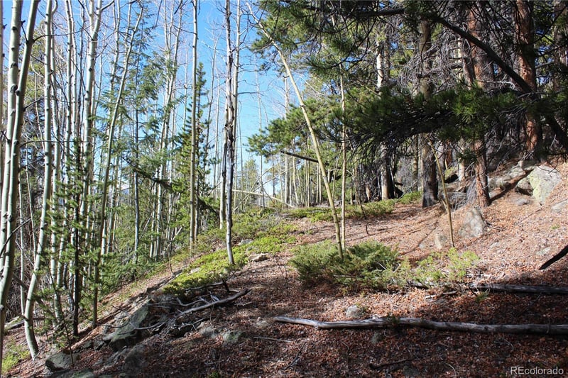 4-2 Lamertine Rd Lot 9802, Idaho Springs, CO 80452