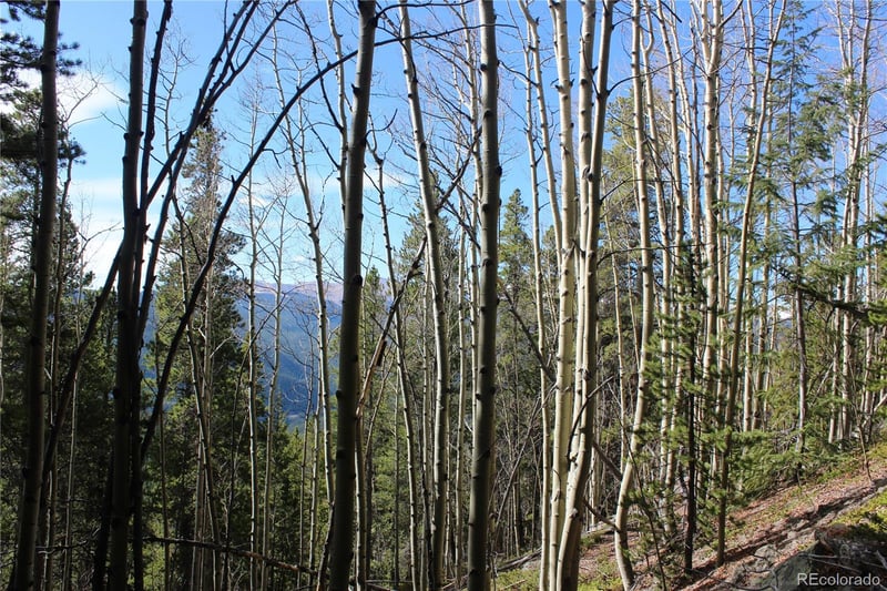 4-2 Lamertine Rd Lot 9802, Idaho Springs, CO 80452