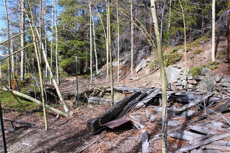 4-2 Lamertine Rd Lot 9802, Idaho Springs, CO 80452
