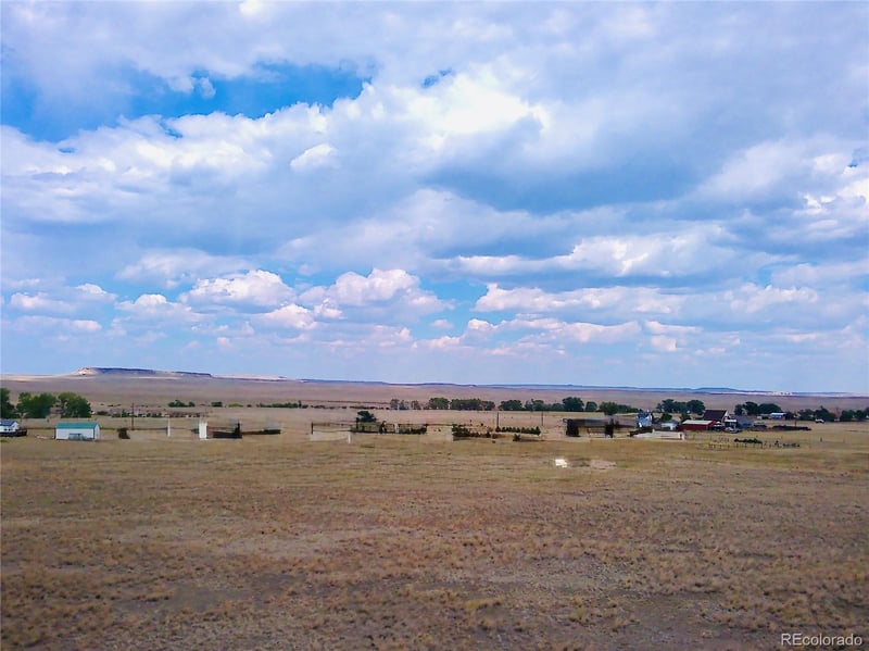 9238 Stevenson Ave, Carr, CO 80612
