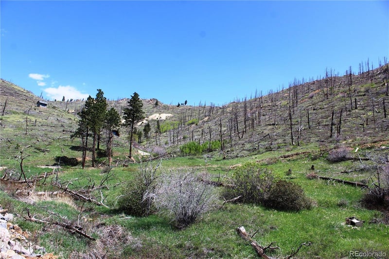 0 County Rd 89 Lot 237, Boulder, CO 80020