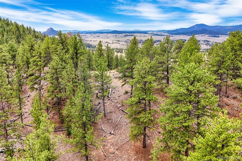 711 Willow Way, Jefferson, CO 80456