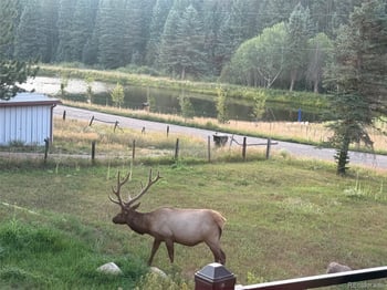26955 Stagecoach Rd, Conifer, CO 80433