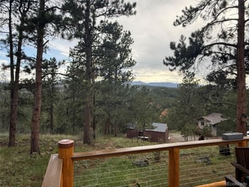 221 Juniper Ln, Bailey, CO 80421