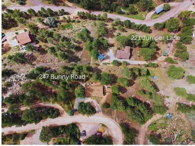 247 Bunny Rd, Bailey, CO 80421