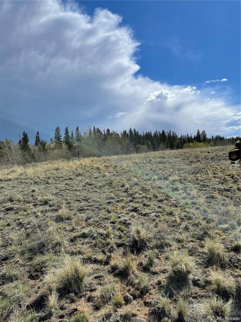 252 Albino Rd, Jefferson, CO 80456