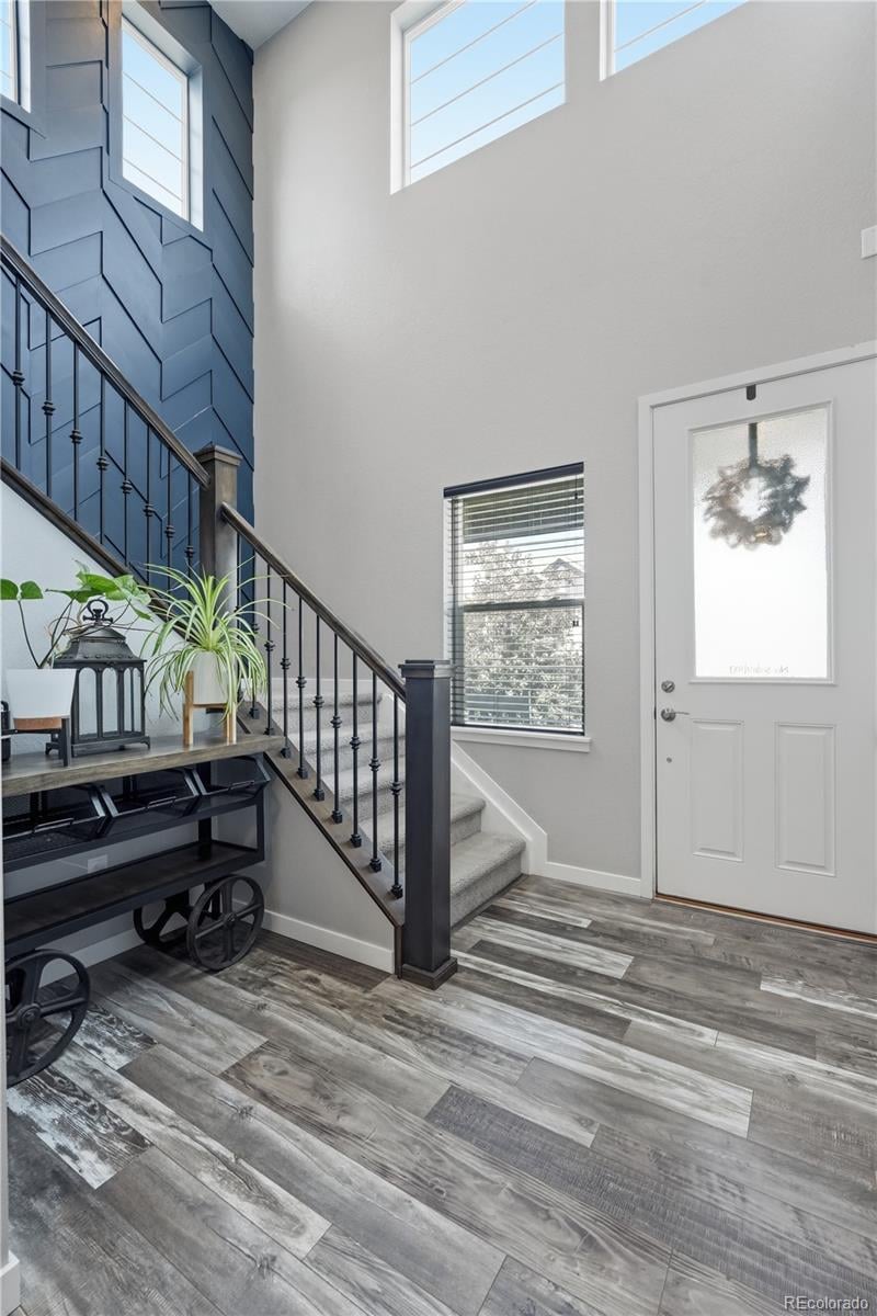 380 Pleades Pl, Erie, CO 80516