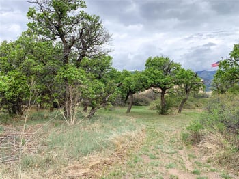 4920 County Road 650, Rye, CO 81069