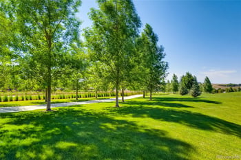 10081 Bristleridge St, Parker, CO 80134